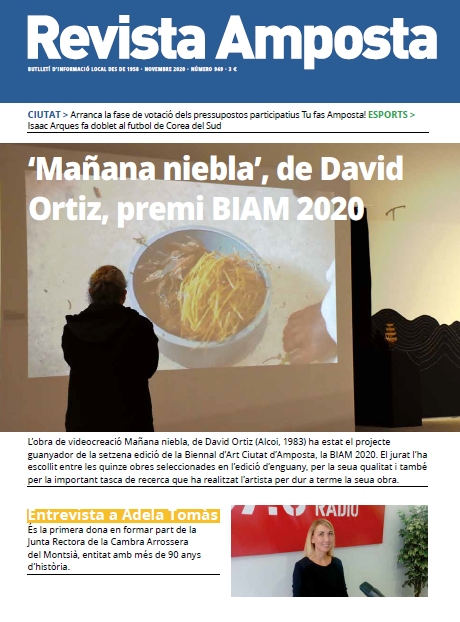 Revista Novembre 2020
